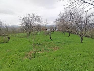 ev alqi satqisi ve kirayesi baki: Kənd təsərrüfatı — 2