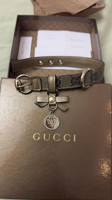 Ошейник Gucci оригинал Использовался пару раз, после стал маленьким