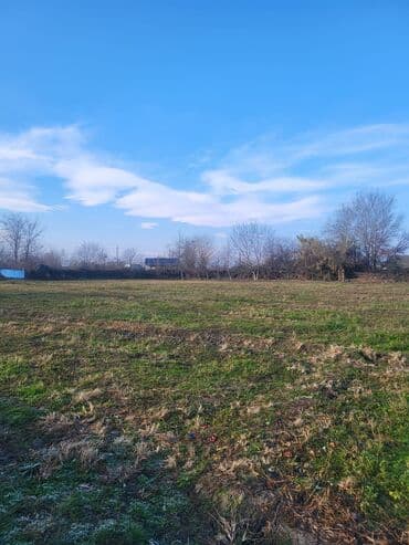 42 sot, Biznes üçün, Mülkiyyətçi, Kupça (Çıxarış) lalafo.az -da 42 sot, Biznes üçün, Mülkiyyətçi, Kupça (Çıxarış)