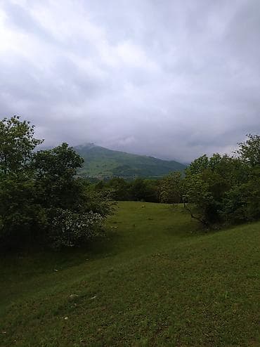 torpaq satış: 50 sot, Mülkiyyətçi, Kupça (Çıxarış) — 1