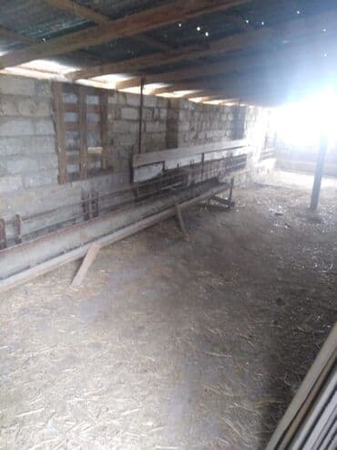 xacmaz rayonu: Bakı, Qala qəs., 550 kv. m, 3 otaqlı, Hovuzsuz, Artezian quyusu, Qaz, Su — 10