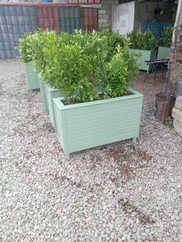 dekorativ otaq bitkiləri: Bu taxda dipçekin ölçusu 100x30x55 Bu standart alinan ölçudur — 5