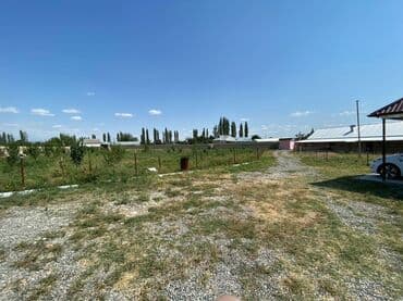 vasitəcisiz birbaşa sahibindən mənzil kirayələmək: Kənd təsərrüfatı, Mülkiyyətçi, Bələdiyyə, Kupça (Çıxarış) — 5