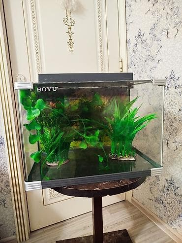 akvaryum: BOYU akvarium seti - Marka/model: BOYU - Şüşə akvarium, ön küncləri — 2