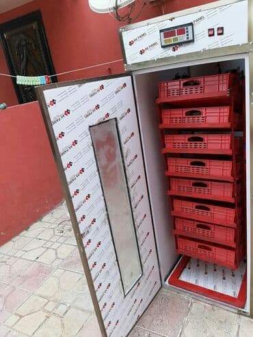 İnkubatorlar: İnkubator inqaz toyuq ördek hinduşka bildirçin qirqovul brama — 1