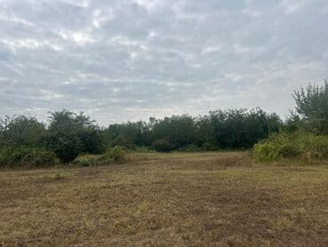 qubada torpaq satilir 2020: 110 sot, Tikinti — 13