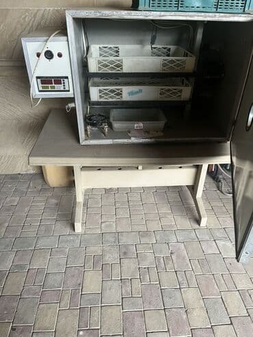 бу морозильная камера купить: 300 яиц, Азербайджан, Полностью автоматическая — 1