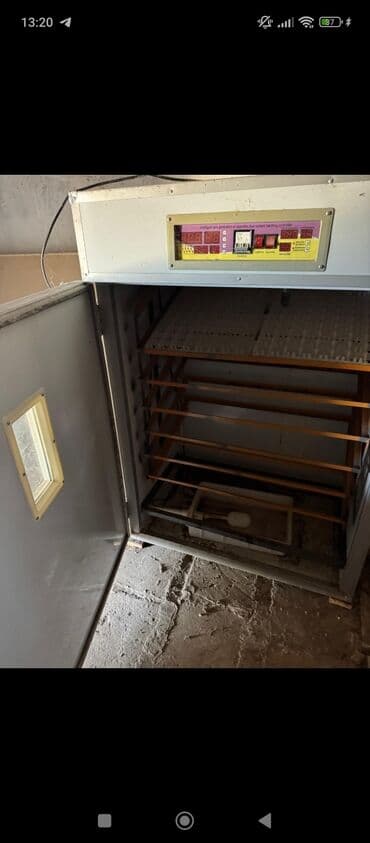 Yem üyüdən aparatlar: Bu, yumurtaların inkubasiyası üçün istifadə olunan böyük, şaquli tipli — 2