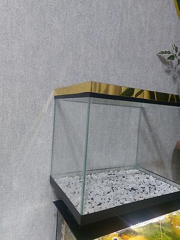 Akvariumlar: Qold Akvaryum çox gözəl görnüşə malikdi yenidi ölçü 35×22×29 bunan — 3