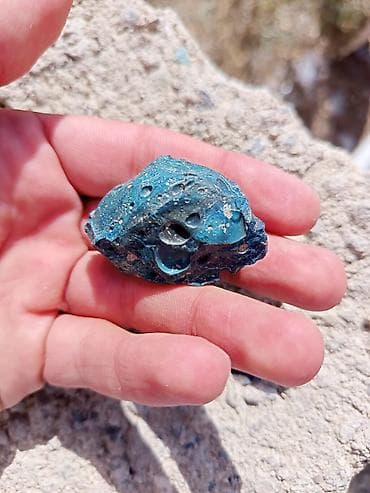 Tavan: Tarixi matiryalar daş dövrünə aid və 50 milyon illik fosil .maraxlanan — 4