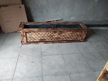 akvaryum bitkileri: Istediyniz sayda, ölçüde, görnüşde, boya rengi seçimide sergestdi, ve — 1