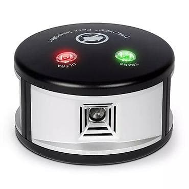 Siçan qovan, Yeni, Pulsuz çatdırılma