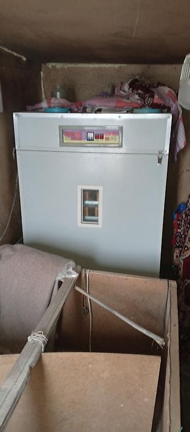 Avadanlığın icarəsi: Tam avtomat — 3