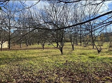 yasamalda kiraye evler ucuz: 8 sot, Tikinti, Mülkiyyətçi, Kupça (Çıxarış), Texniki pasport — 1