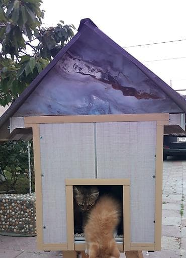 pişik ucuz: Məhsul: Açıq havada istifadə üçün pişik evi Təsvir: Qapalı pişik evi — 3