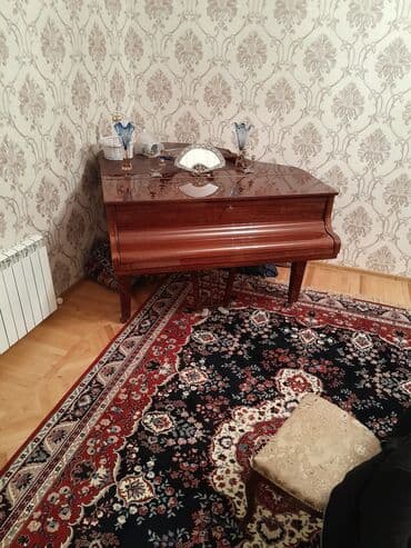 rönisch piano: Пианино, Rönisch, Акустический — 3