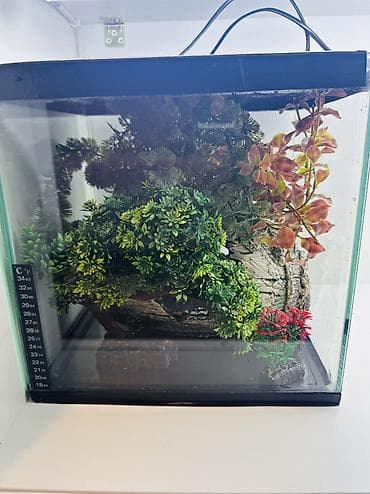Heyvanlar: Dördbucaq akvarium, Boş, 22 l — 3
