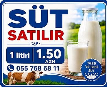 süd məhsulları: Təzə və təbii inək südü satılır. Gündəlik sağım, saf və qatqısız — 1