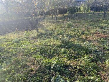 купить дом в азербайджане баку: Для сельского хозяйства — 5