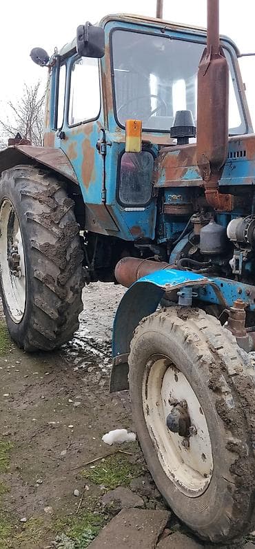 mtz: Traktor Belarus (MTZ) 80, 1984 il, 80 at gücü, motor 2.4 l, Yeni — 4