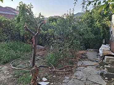 xaçmaz motoblok satışı: Xırdalanda 2otaqlı 2.5 sot torpaqda ev satılır.meyve ağacları var — 6