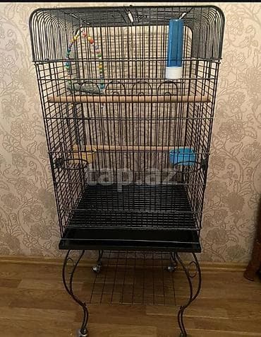 Metall quş qəfəsi, dayaq arabası ilə - Geniş, hündür konstruksiya