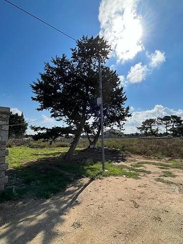 ayda torpaq satilir: 4 sot, Kənd təsərrüfatı, Mülkiyyətçi, Bələdiyyə — 3