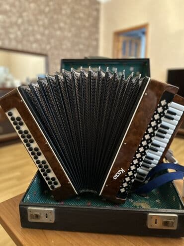 Sintezatorlar: Akustik Akkordeon — 4