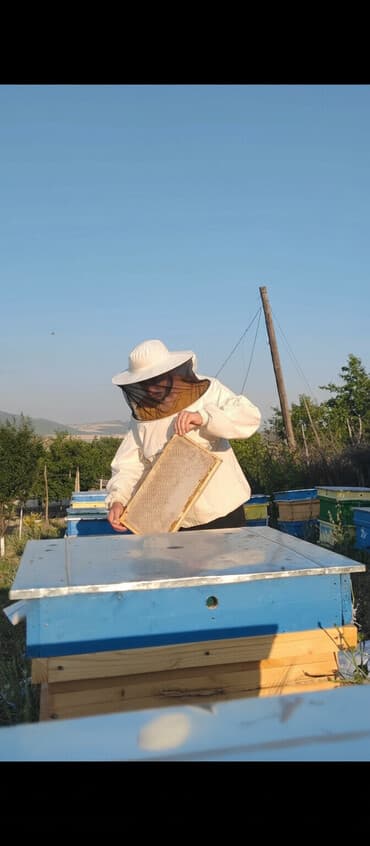вешалка настенная в прихожую белая: Təbii arı qaratikan balı – “Arıçı Emin” Faydaları və Qidalandırıcı — 4
