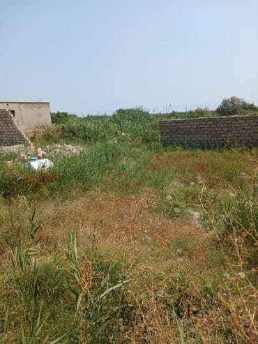 1 hektar necə sotdur: 2 sot, Tikinti, Mülkiyyətçi, Müqavilə — 1