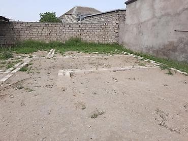 gencede torpaq: 3 sot, Bələdiyyə — 7