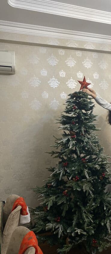 Yeni il ağacları: Продаю в связи с переездом срочно — 1