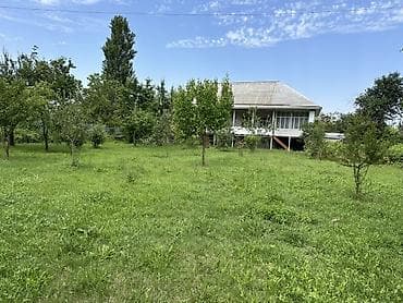 bakı kiraye evler: Bağ evi və geniş torpaq sahəsi - Yaşayış evi: kənd üslubunda, hündür — 2