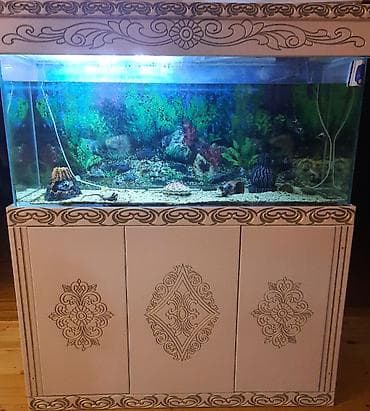 yumru akvariumlar: Mebelle dest satilir filtr tetra tech 1200 qizdirici tetra 300w hava — 1