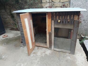 göyərçin yuvaları: Taxta toyuq/balıq quşları üçün hin - Material: taxta karkas — 1