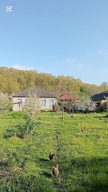 lokbatanda evler: Kənd mühitində yerləşən həyət evi və geniş torpaq sahəsi — 3