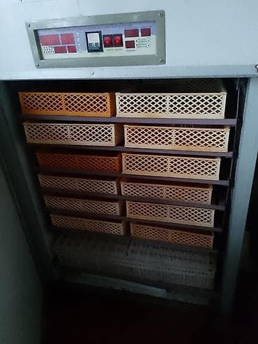 dolab kilidi: İnkubator – “Intelligent new generation of upgrades dual system — 3