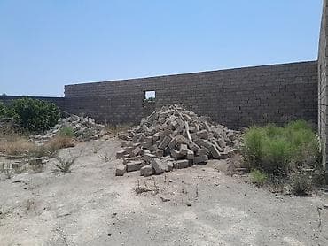 torpaq bakıda: Biznes üçün — 8