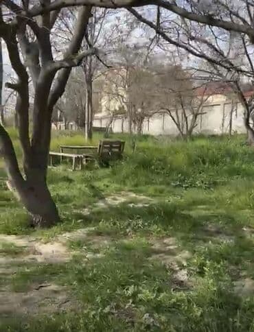 yeni əmlak az: 24 sot, Tikinti, Mülkiyyətçi, Kupça (Çıxarış) — 4