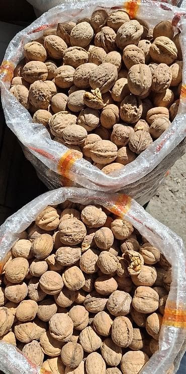 çərəz: Yaxşı Rastov qozu var. Keyfiyyətli məhsuldur. 15-16 kiloluq — 1