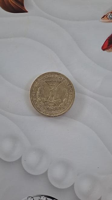 ABŞ Morgan Dollar (1884) gümüş sikkə - Növ: Morgan Silver Dollar -