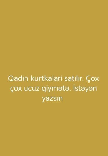 qadın iç geyim: Zara, S (EU 36) — 1