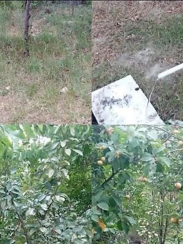 gence torpaq satisi 2022: 6 sot, Mülkiyyətçi, Kupça (Çıxarış) — 1