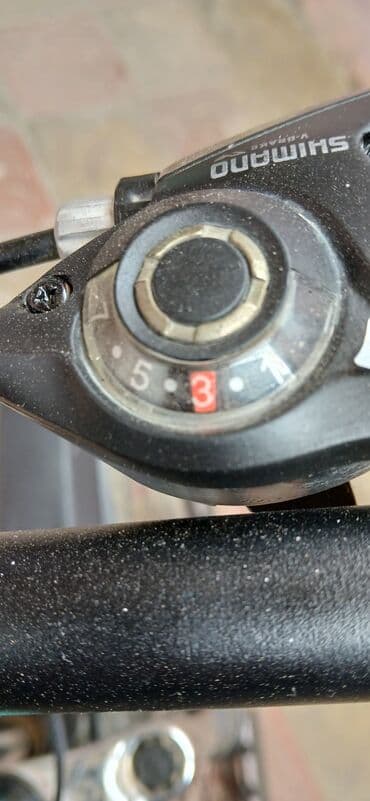 islenmis velosipedler: İşlənmiş Dağ velosipedi 29", sürətlərin sayı: 7, Ünvandan götürmə — 1