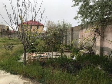 dübəndi torpaq: 12 sot, Tikinti, Makler, Kupça (Çıxarış) — 5