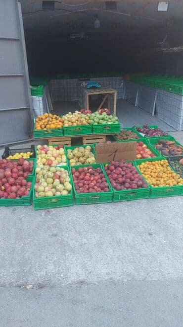 Avtoservis avadanlıqları: Nilay Meyvə-Tərəvəz köşkü Təqdim olunanlar: - Gündəlik təzə meyvə və — 2