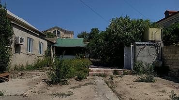 6 sot, Tikinti, Mülkiyyətçi, Kupça (Çıxarış) — 3