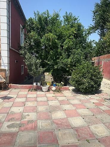 28 may qesebesi: 3 otaqlı, 100 kv. m, Kredit yoxdur, Yeni təmirli — 5
