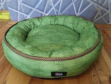 pitbul satilir: Bizim itimizə balaca olduğu üçün satılır — 2