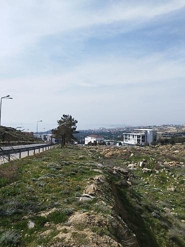 12 sot, Tikinti, Mülkiyyətçi, Kupça (Çıxarış) — 3